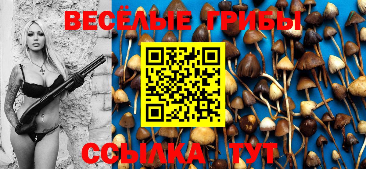 Гудермес  Псилоцибиновые грибы GOLDEN TEACHER  Вход с VPN  Псилоцибиновые грибы GOLDEN TEACHER 