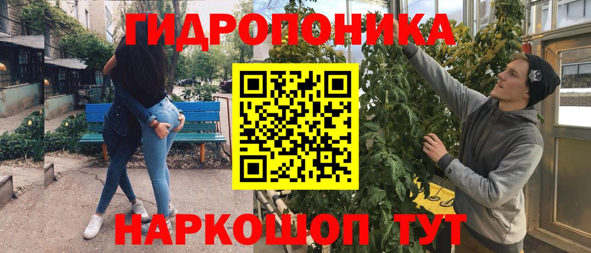 Шишки марихуана OG Kush  Шишки марихуана LSD WEED  Гудермес  Конопля OG Kush  Каннабис THC 21%  Вход с VPN 